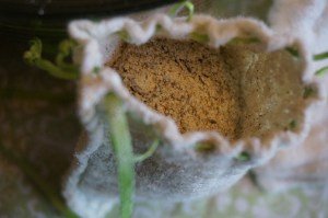 Soothing bath soak in a cheesecloth sachet