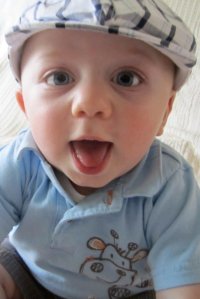 Niko, three months old