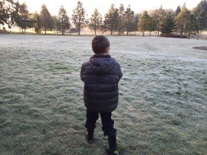 Exploring a frosty morning