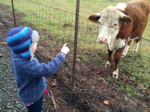 Almost convinced to pet her nose. Not quite.