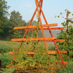 Squash Trellis http://www.organicgardening.com/SquashTrellis