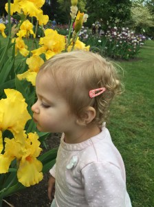 Happy Sofia smelling the flowers.